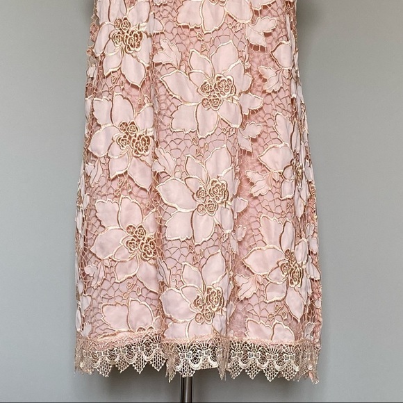 Lovers + Friends Dress Caspian Blush Lace Shift Dress, L - Picture 4 of 13